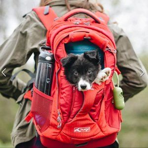Kurgo G Train Dog backpack for dogs up to 25 lbs  mint condition only used once